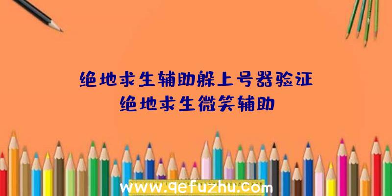 「绝地求生辅助躲上号器验证」|绝地求生微笑辅助